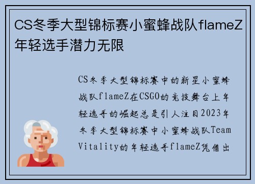 CS冬季大型锦标赛小蜜蜂战队flameZ年轻选手潜力无限